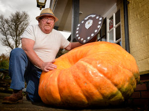 Supporting image for story: Sad passing of village fete pumpkin plot prankster