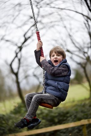 Temple Wood and Playground Open For Half Term at Weston Park
