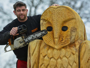 Supporting image for story: Artwork is a real hoot