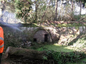Supporting image for story: Historic Shropshire tunnel saved thanks to team of volunteers