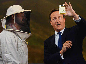 Supporting image for story: Mid Wales honey firm wins deal to supply Tesco