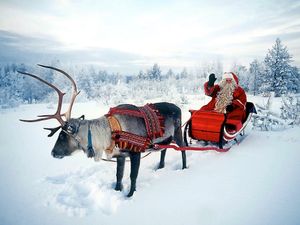 Supporting image for story: Peter Rhodes on fosty frogs, the national scandal of courier deliveries and the case for a blitz on seat belts