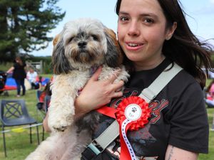 Supporting image for story: Hundreds enjoy annual dog show and fete at Shropshire specialist college