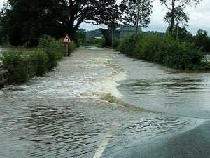 Supporting image for story: Council staff thanked for floods response