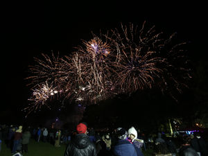 Supporting image for story: Beloved Wolverhampton firework show to make explosive return to West Park