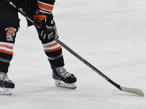 Supporting image for story: Telford Tigers pay the price for breaching league rules