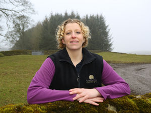 Supporting image for story: The costly infection which could hit lambs this spring