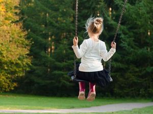 Supporting image for story: Telford teen too big for child's swing is freed by firefighters in second incident in two days