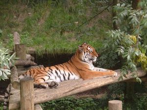 Supporting image for story: Big rise as visitors flock to Dudley tourist attractions