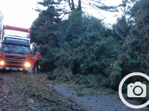 Supporting image for story: Fierce gales lead to misery and mayhem across West Midlands
