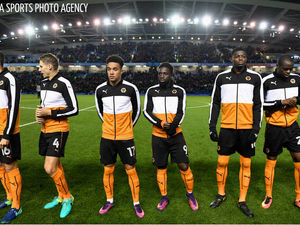 Supporting image for story: Brighton 1 Wolves 0 - player ratings