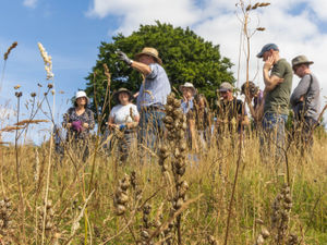 Supporting image for story: Love Nature Festival aims to connect Shropshire people with their surroundings