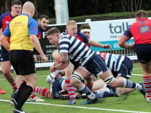 Supporting image for story: Stourbridge continue to soar but Old Halesonians remain winless