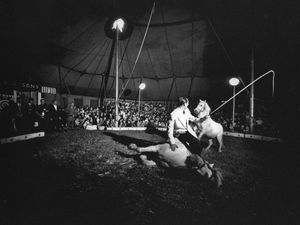 Supporting image for story: Fontaines D.C., Dogrel - album review