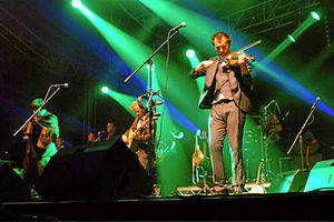Supporting image for story: Global audience for Shrewsbury Folk Festival