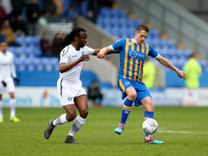 Supporting image for story: Shrewsbury's Dave Edwards a doubt for the rest of the season 
