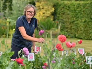 Supporting image for story: Residents invited to trail featuring eight beautiful gardens in aid of the Shropshire Historic Churches Trust
