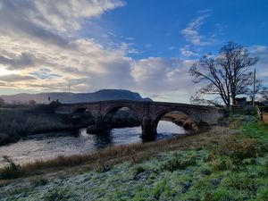 Supporting image for story: Money available for tree planting scheme along the River Severn