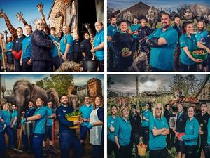 Supporting image for story: Wild life behind the scenes at Chester Zoo to be shown in TV programme