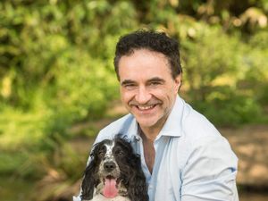 Supporting image for story