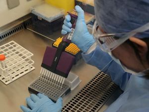 Supporting image for story: Biotech firm claims new Covid-19 treatment could reduce need for ventilators