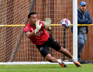 Supporting image for story