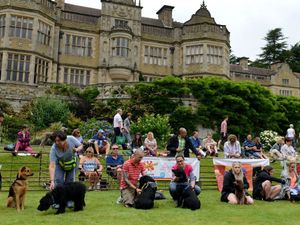 Supporting image for story: Just days left to bid in Ludlow charity's auction 