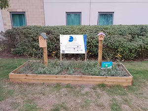 A bee site