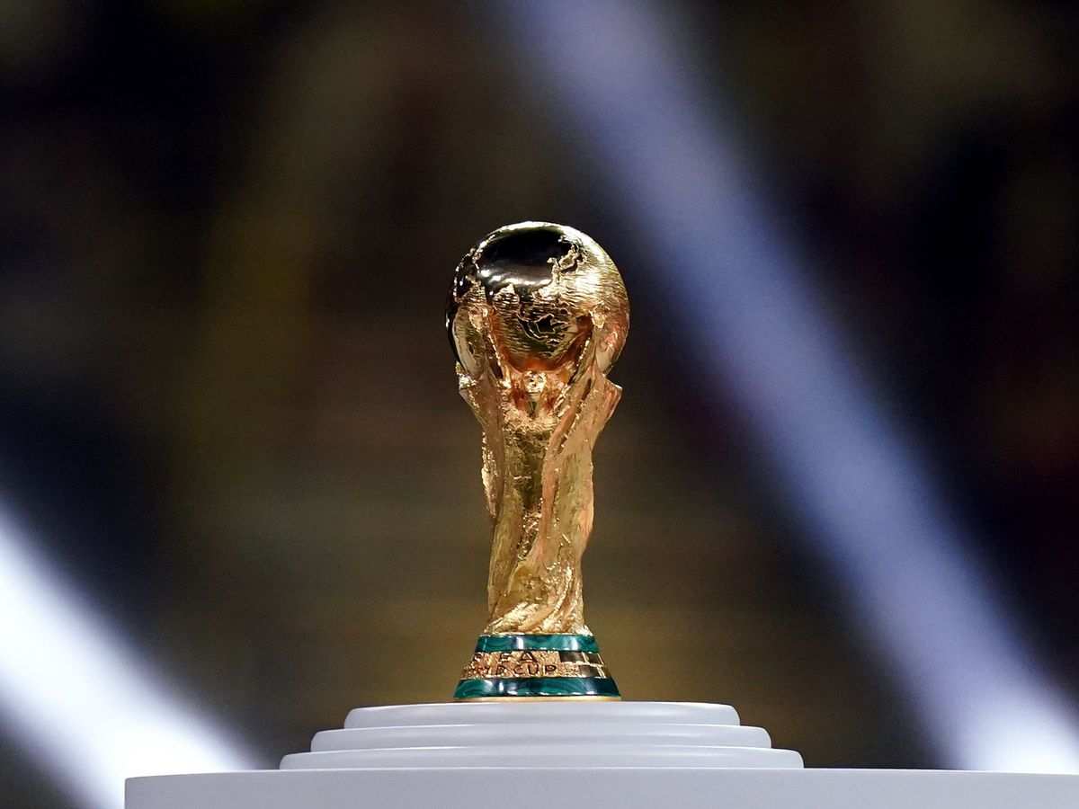 Iran will &lsquo;boycott America, but not the World Cup&rsquo; &ndash; federation president