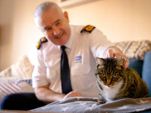 Supporting image for story: More than 6,000 animals rescued by RSPCA in Shropshire over the last decade