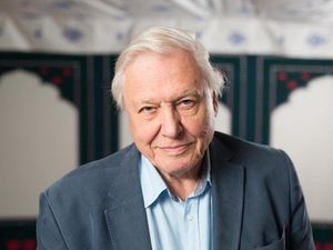 Supporting image for story: Sir David Attenborough to present new animal series Dynasty
