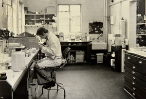The pathology lab at Walsall district general hospital