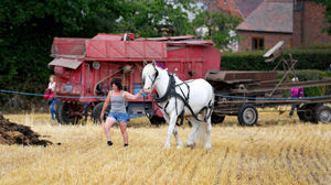 The horses were the stars at the last ever Trimpley Horse Show