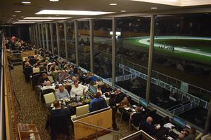 Dunstall Park Greyhound Stadium will open its doors on New Year's Eve. 