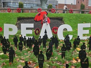 Supporting image for story: 'This time is so important and it's vital we never forget': Dudley Remembrance campaigner working harder than ever