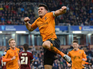 Supporting image for story: Danny Batth: I feel for Wolves fans' trip