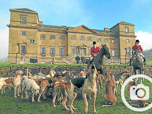 Supporting image for story: Traditional Boxing Day hunts seen by hundreds