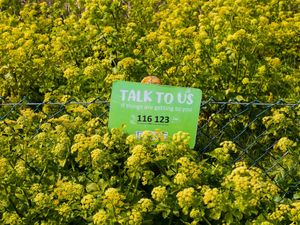 Supporting image for story: Suicide rates registered in England and Wales highest in more than two decades