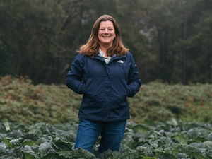 Supporting image for story: CLA backs new powers to tackle livestock worrying