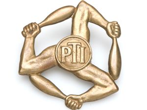 Supporting image for story: Vintage badge latest item on adoption initiative