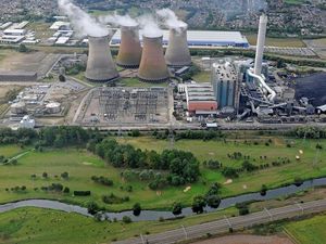 Supporting image for story: Police dogs to be trained on former Rugeley Power Station site