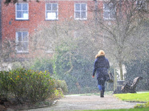 Supporting image for story: Arctic blast brings snow flurries as temperatures plummet
