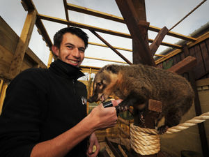 Supporting image for story: Staffordshire zoo undergoing winter revamp 