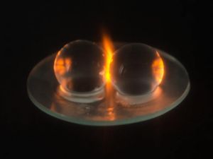 Supporting image for story: Scientists explain why microwaved grapes explode