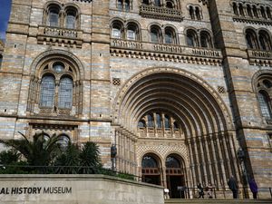 Supporting image for story: Natural History Museum becomes UK’s top attraction for visits