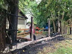 Supporting image for story: Fundraiser launched as arson attack forces animal sanctuary to shut