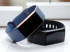 Supporting image for story: Australian regulator delays decision on Google-Fitbit merger