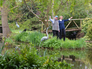 Supporting image for story: Historic churches open gardens programme set to start this weekend
