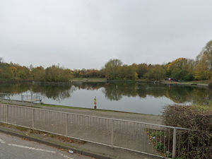 The woman was found on the junction of Proud's Lane and Moseley Road, Bilston.