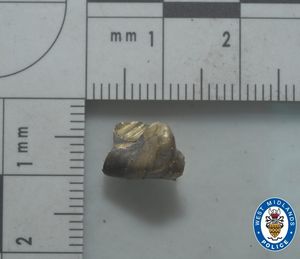 Evidence recovered by police in the drive-by shooting
